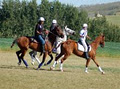 Polocrosse Gear logo