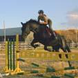 Poney-Club de Saint-Eustache image 5