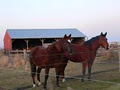 Prairie Stables image 6