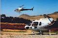 Questral Helicopters image 4