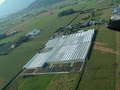Rainbow Greenhouses Inc. image 3