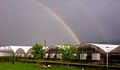 Rainbow Greenhouses Inc. image 1