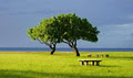 Raintree Hypnotherapy image 1