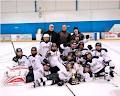 Richmond Hill Hockey Association image 3