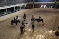 Riding Academy At The Horse Palace image 3