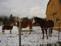 Rocky Ridge stables image 1