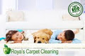 Royas Carpet Cleaning image 2
