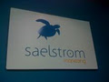 Saelstrom Marketing logo