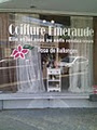 Salon De Coiffure Emeraude logo