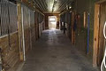 Sanmar Friesians Boarding Stables image 5