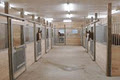 Schellenberg Stables image 4