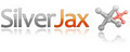 SilverJax Web Solutions image 1