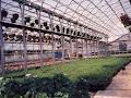 Slip Tube Greenhouses Inc image 6