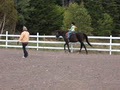 Spirit Reins Ranch image 6