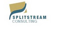 SplitStream Consulting Inc image 3