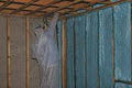 Spraytek Spray Foam Insulation and roofing systems image 3