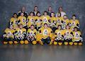 St. Catharines Catholic Youth Organization Minor Hockey image 3