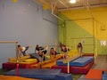 Starr Gymnastics and Fitness image 1