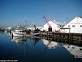 Steveston Harbour Authority image 2