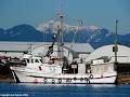 Steveston Harbour Authority image 1