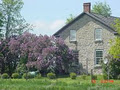 Stonehouse Bed and Breakfast image 1