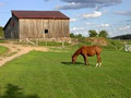 Stoneoaks Riding Stables image 2