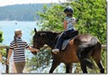 The Maples: Horseback Riding on Gabriola Island image 6