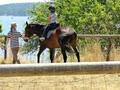 The Maples: Horseback Riding on Gabriola Island logo