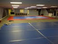The Submission Academy(Brazilian Jiu Jitsu) image 6