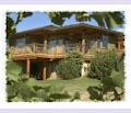 Therapy Vineyard & Guesthouse image 4