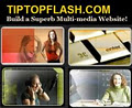 Tiptopflash.com logo