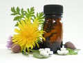 Toronto Homeopath - Joy Burlton - Classical Homeopathy image 2