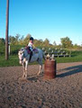 True Grit Horsemanship and Custom Leather logo