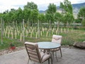 Valley Vineyard Guest House image 2