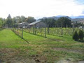 Valley Vineyard Guest House image 3