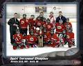 Vancouver Thunderbird Minor Hockey Association logo