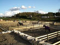 Villa Training - Horse Boarding and Training image 4