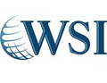 WSI Internet Franchise logo