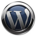 WSI Web Design and Internet Marketing logo