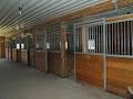 Wolf Creek Equestrian Centre image 4