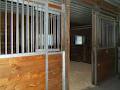 Wolf Creek Equestrian Centre image 6