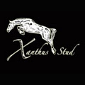 Xanthus Stud Equestrian Centre image 2