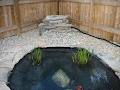 pond's & patio's image 2