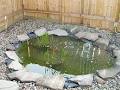 pond's & patio's image 5