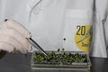 20/20 Seed Labs image 3