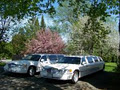 A Royal Treatment Limousine Services Of Ottawa image 2