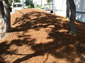 A-Team Landscaping image 5