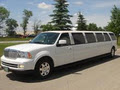 AAA VIP Limousine Service image 4