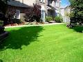 AD Landscaping & Property Maintenance INC image 2