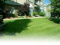 AD Landscaping & Property Maintenance INC image 3